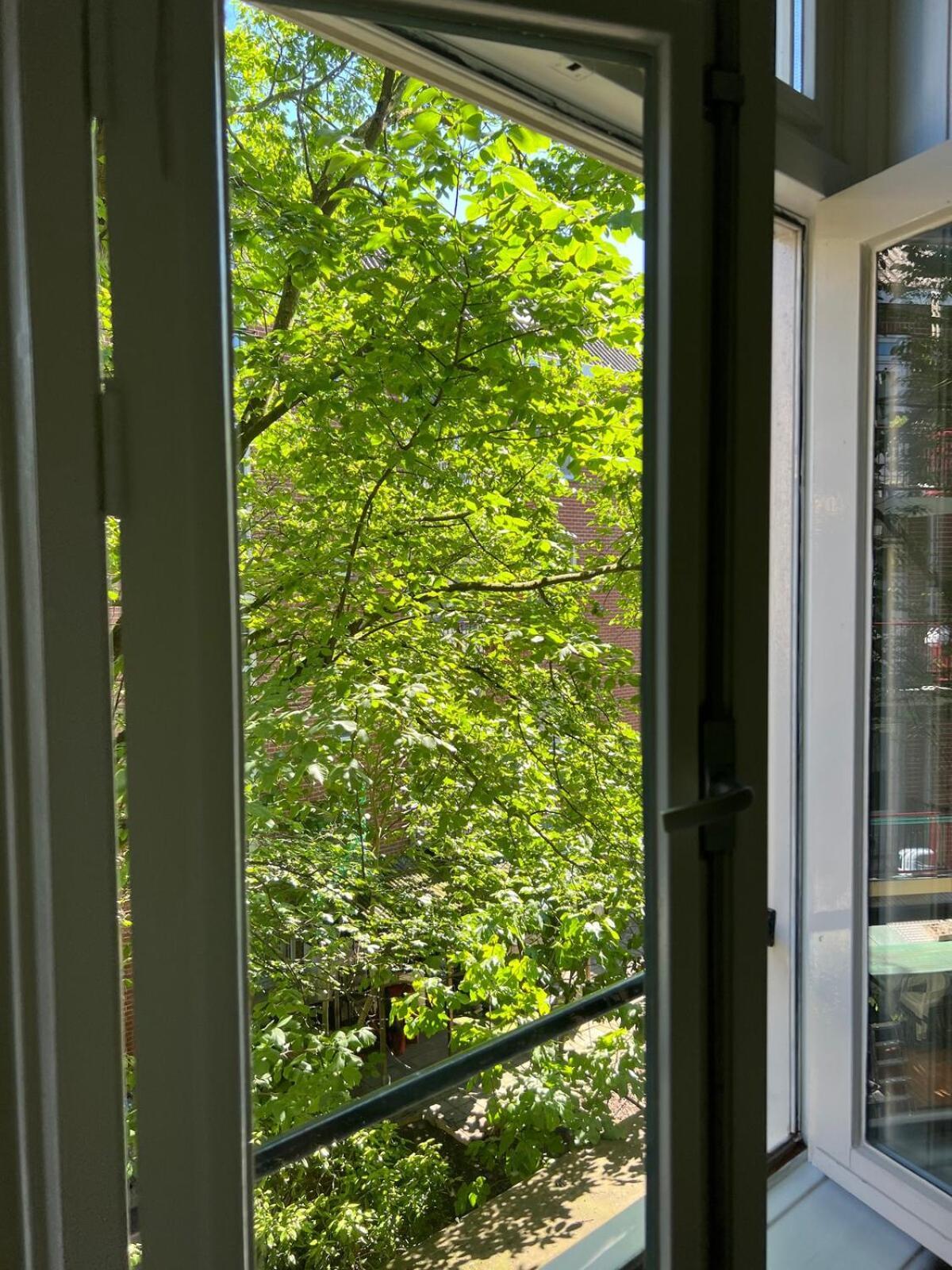 Museum District, Beautiful Renovated House Amsterdam